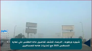 شبورة ورطوبة.. الأرصاد تكشف تفاصيل حالة الطقس حتى نهاية أغسطس 2025 مع تحذيرات هامة للمسافرين